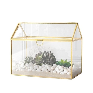 Terrario de vidrio con marco dorado y suculentas para decoración de mesa - Product Image 1