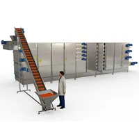 Machine de séchage électrique à gaz, appareil industriel pour sécher les légumes et fruits, SLM, aac