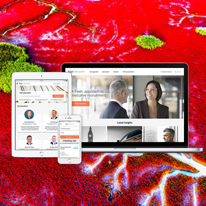 Webroot-empresa de desarrollo de sitio web de una empresa de gestión de trabajo, red de RED para la India para la captación de premios - Product Image 5