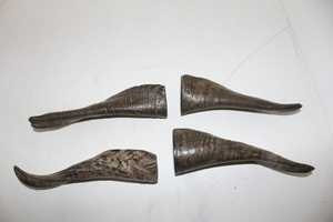 Cuerno de Cabra Natural Pulido de la Mejor Calidad, Material Orgánico, Estilo Animal, Objeto de Colección Artístico, 3-6 Pulgadas - Product Image 4