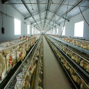 Poulaillers Poulaillers Poulailler Chauffe-maison en métal Offre Spéciale - Product Image 4