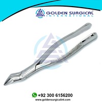 Forceps d'extraction dentaire GOLDEN Incisor en acier inoxydable, instruments dentaires équins, pince à dents pour chevaux GSIB-100220