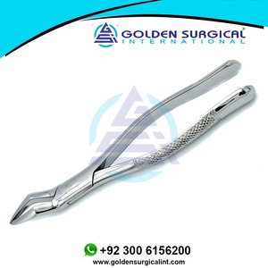 Forceps d'extraction dentaire GOLDEN Incisor en acier inoxydable, instruments dentaires équins, pince à dents pour chevaux GSIB-100220 - Product Image 5