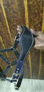 เชือกแขวนคอม้ากายวิภาคและผลิตภัณฑ์เครื่องหนังพรีเมี่ยม - Product Image 3