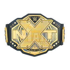 Cinturón de alto nivel con placas de oro pesado, cinturones de lucha libre, boxeo, artes marciales - Product Image 3