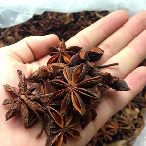 THE BEST DRY STAR ANISE IN VIETNAM /High quality anise as a spice from Vietnam