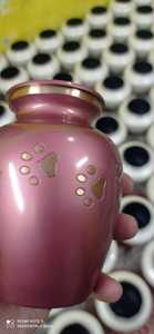 Brassworld India's Purple Brass Pet Cremation Urn with Golden Paw American Style - Product Image 2