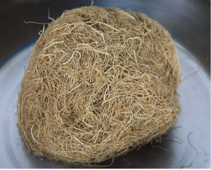 Vietnam Wholesale <b>Seaweed</b> Product and Bag Packaging Dried Gracilaria Verrucosa for Export - Product Image 5