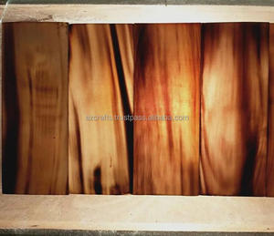 Placas de cuerno de Búfalo en blanco Natural - Product Image 4