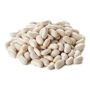 White Kidney Beans Long and Round shape