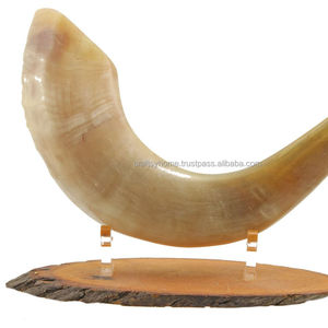 Venta al por mayor de alta calidad pulido Ram Horn Shofar decoración del hogar natural genuina para la venta por CRAFTSY HOME - Product Image 1