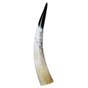 Corne décorative en forme de citrouille, style européen, pour le restaurant, la maison et le mur, taille personnalisée à vendre - Product Image 6