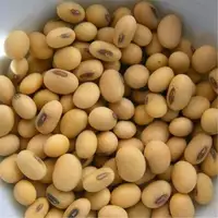 Non Gmo Soybeans, Soy Bean Seeds and Soya Bean Seeds