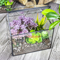 Boîte de fleur de Terrarium en verre coloré, présentoir en forme de maison, planteur pour plantes succulentes, conteneur de décoration moderne pour table