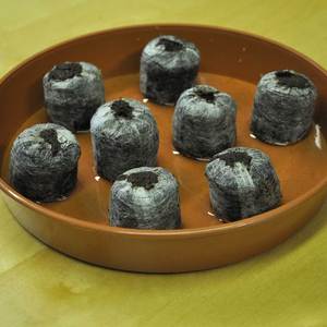 Pastillas de fibra de coco, bolitas de coco de alta calidad, ecológicas, hechas en Vietnam, precio al por mayor barato - Product Image 4