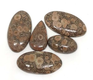 Prix de gros Cabochon en pierre naturelle Jaspe Popey, nouveau cabochon en vrac de forme libre, pierre précieuse de taille libre pour la fabrication de bijoux - Product Image 1