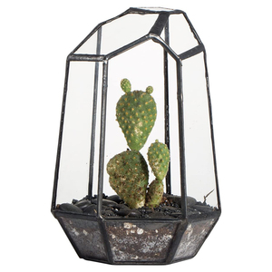 Irregular de cristal de vidrio hecho a mano plantas de aire titular de mesa en miniatura contenedor plantador de caja - Product Image 4