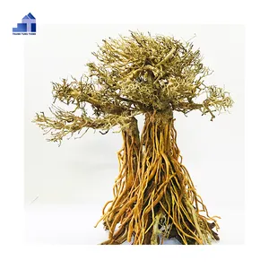 Thiết kế nóng 2023 Bonsai lũa hồ cá lũa cho bể cá trang trí bể cá WhatsApp: + 84 961005832