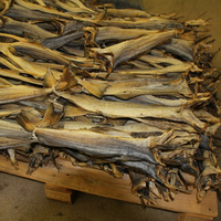 Arêtes de poisson séchées en forme de coquillage, tailles de poisson, noir, bleu marine