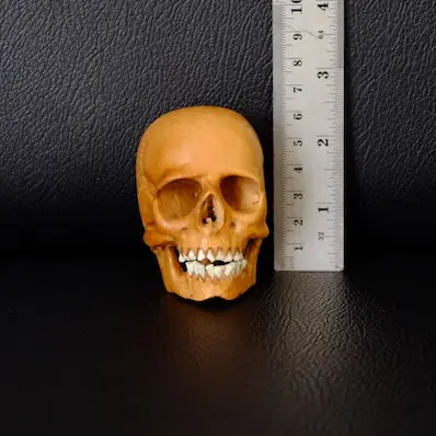 Hand carved wooden skull with teeth bone