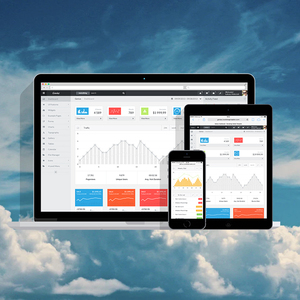 Leading Website App Software Development Company in India | Award Winning Mobile Application Development Services by Webroot - Product Image 2