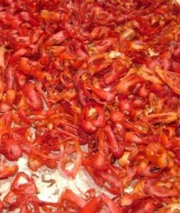 กระบองมือ - Product Image 1