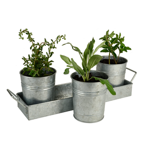Galvanized Picnic Caddy & Planter Set - Product Image 2