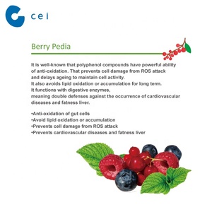 Powder Berry digestive Enzymes cranberry extract grape seed extract powder - Product Image 4