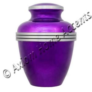 Urna de cremación de aluminio para mascotas, urna de funeral para cenizas de mascotas, acentos para el hogar Axiom, barata - Product Image 6