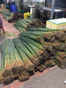 Vestido de patrón geométrico hecho a mano ecológico de alta calidad, bolso de paja de uso diario de Vietnam, bolsos de cierre abierto con dos asas - Product Image 5