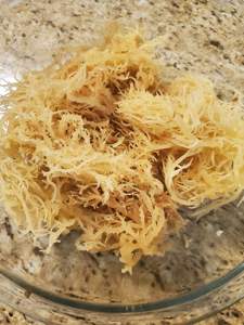 NATUREL DORÉ/MOUSSE DE MER DORÉE/EUCHEUMA COTTONII-Yami DE HAUTE QUALITÉ - Product Image 4