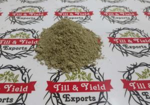 Extrait de Kalmegh, andrografis-paniculata, amère ntt, utilisations potentielles de Kalmegh pour protéger le fœtus - Product Image 3