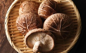 Seta de SHIITAKE seca para granja, seta de SHIITAKE seca, marrón, de origen vietnamita, seta de SHIITAKE en VIETNAM, Ms.Christy + 84 918509071 - Product Image 2