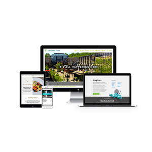 Top Website Design & Development Company in India | Award Winning Website Design & Development Services by Webroot Infosoft - Product Image 2