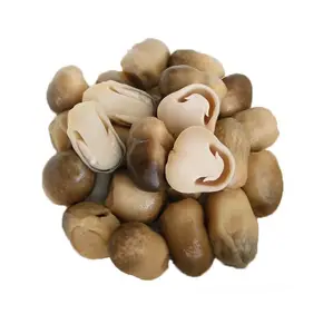 Gezouten Stro Paddestoelen Beste Exporteur Gedroogde Gezouten Paddestoelen Blik Stro Champignons-Ms Akina- 0084 902803631