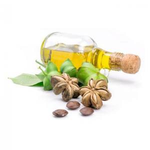 น้ำมันซาชาอินชิ100% น้ำมันซาชิ/คุณนายพฤษภาคม: + 84 904 183 651 - Product Image 2