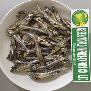 सूखे ANCHOVY मछली अच्छी गुणवत्ता