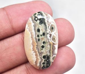 แคสเปอร์หลังเบี้ยโอเชียน - Product Image 4