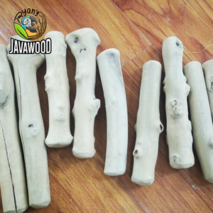 Huesos de Madera Natural para Perros, Juguetes de Alta Calidad, Seguros e Inofensivos, Hechos en Indonesia - Product Image 6