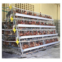 Cage en Batterie Automatique Galvanisée en Acier pour Poulets Pondeurs, Vente Chaude pour Bâtiments d'Élevage de Volaille