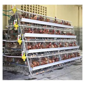 Layer Cages Automatic Poultry Farm Automatic Chicken Poultry Cages Hot Galvanized Cheap Price Egg Layers Cage Poultry Farm House Free Design