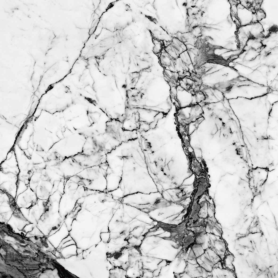 Asterix สีขาว