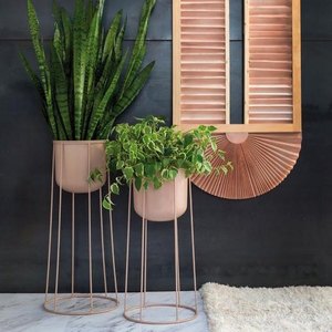 Support amovible avec planteur noir mat, 30 pièces, plantes noires décoratives - Product Image 4