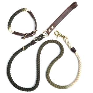 Hunter Green Rope <b>Dog</b> <b>Leash</b> | Ombre | Leather and Rope <b>Leash</b> - Product Image 1
