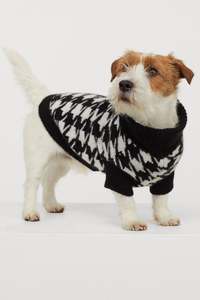 Manteau polaire pour chien, vêtement chaud, tenue animaux de compagnie, petit gabarit - Product Image 3