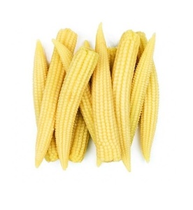 Lata de maíz en lata para bebé, lata de maíz dulce a precio de fábrica, datos de oro de 99 de VIETNAM - Product Image 2