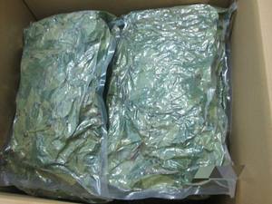 Hojas de Guanábana Secas, Hojas de Guanábana, María - Product Image 4