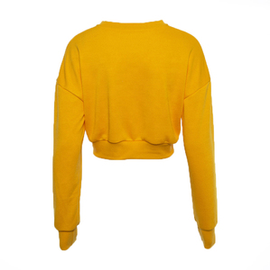 Wholesale Women <b>Jumper</b> Custom Logo Hot Girl Women Clothing Crop Top Long Sleeve <b>Plain</b> Blank Cropped Thick Cotton Hoodies Hoodie - Product Image 5
