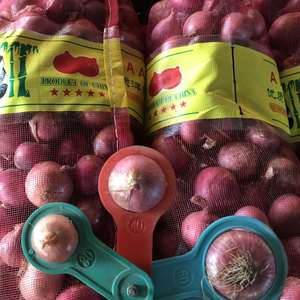 Cebolla Redonda Roja/Amarilla Fresca de Calidad, Sin Pelar, Procedente de Sudáfrica, con 2 Años de Vida Útil, Lista para Exportar a Precio Económico - Product Image 2