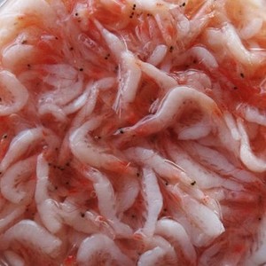 กุ้งดองเค็มคุณภาพส่งออกสำหรับทำกิมจิเกาหลี - Product Image 2